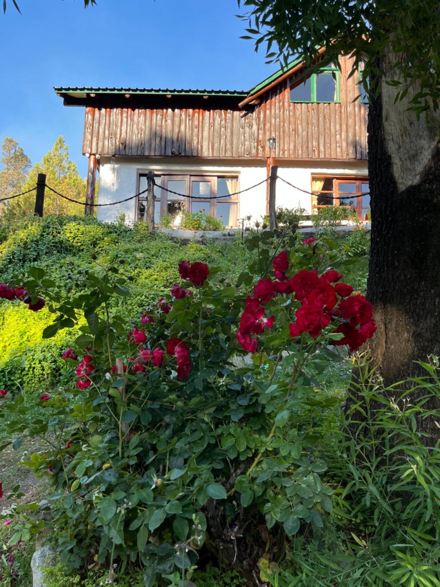 Hostel El Mirador Эль-Больсон Экстерьер фото