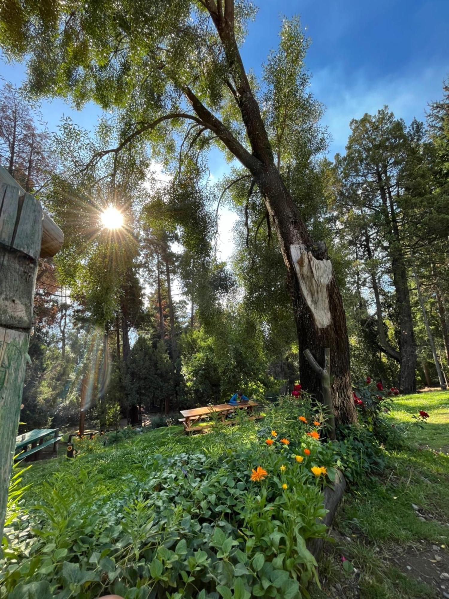 Hostel El Mirador Эль-Больсон Экстерьер фото